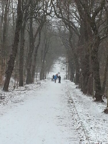 20130112_151510.jpg image