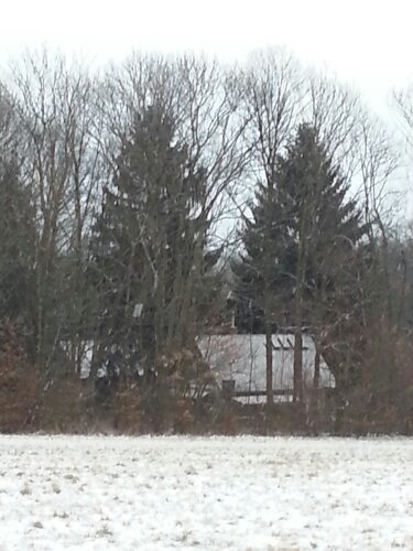 20130112_155206.jpg image