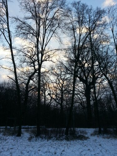 20130112_155947.jpg image