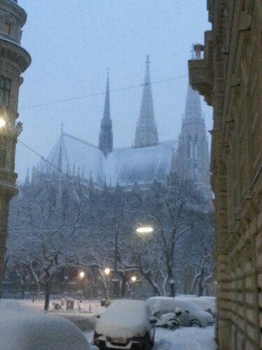 20130117_072539.jpg image