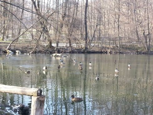 20130316_151620.jpg image