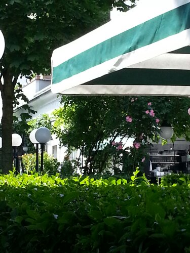 20130608_111814.jpg image