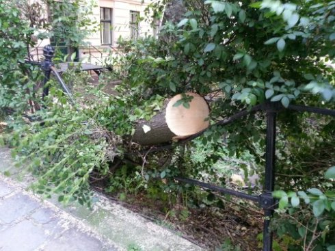 20130614_065929.jpg image