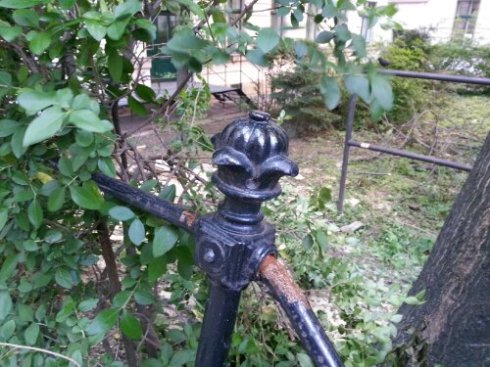 20130614_065937.jpg image