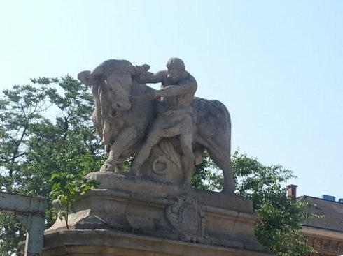 20130620_094311.jpg image