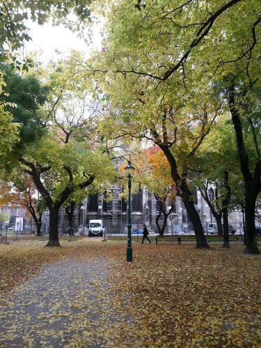 20131022_151349.jpg image