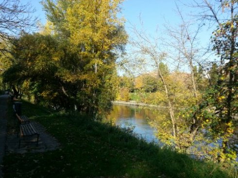 20131023_151124.jpg image