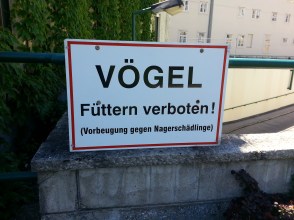 don't feed the birds_standard