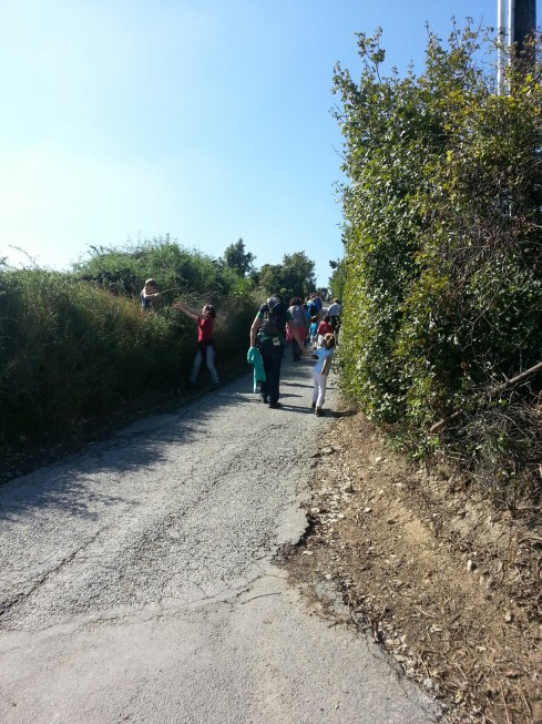 20140928_130854.jpg image