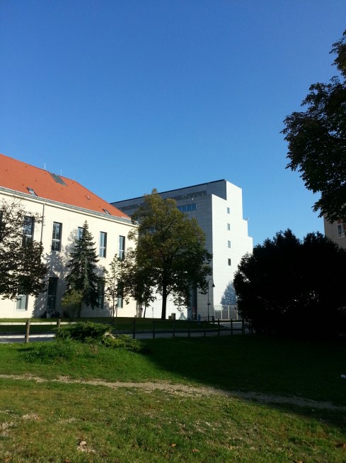 wp-1412862312598.jpg image