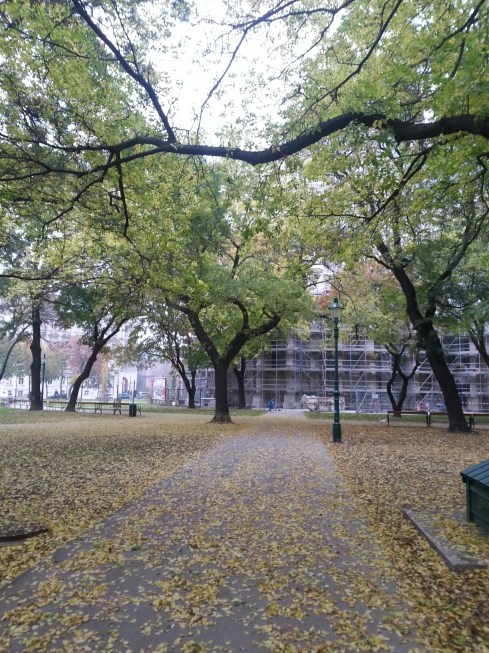 20141103_074536.jpg image