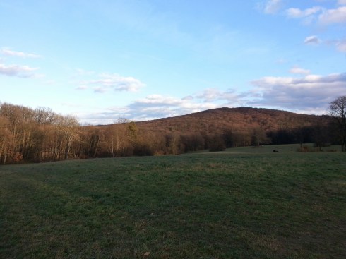 20151114_151636.jpg image