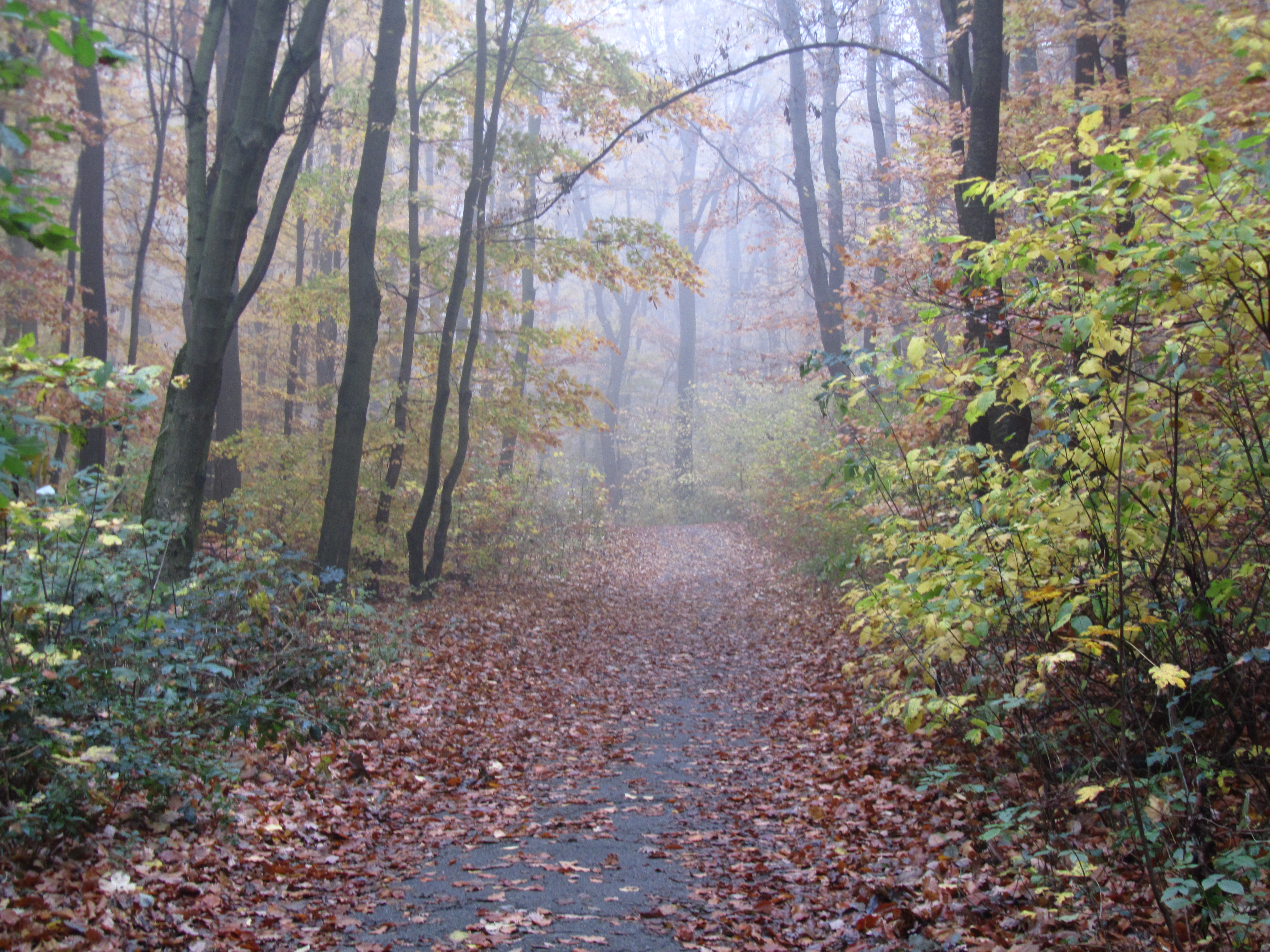 07_jägerwiese to dreimarkstein