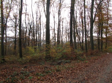 07_on the way from häuserl am roan to hameau